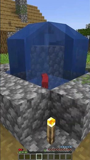 Minecraft But I Convert Into A Mob! #minecraft #shorts