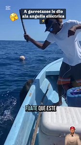 Está anguila eléctrica recibió un fuerte garrotazo 😱🎣🐍#fishing #fishinglife #pesca #anguila #anguilaelectrica #pescaria #pescadores #garrotazo #pescando #fyp #videoreels #videochallenge #anguilla | Andrey Mendez