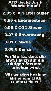 AFD deckt Sprit-Wahrheit auf #politik #afd , #shorts , #shortsfeed, #shortvideo, #foryou, #fyp