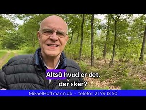 Hvad gør du, hvis du har en irriterende partner? Hvordan I finder tilbage til harmoni i parforholdet
