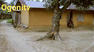 Digidi the famous | Ogonitv