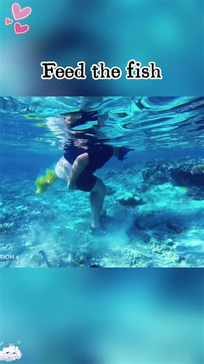 Goldfish Feeding Techniques: Tips for Optimal Care