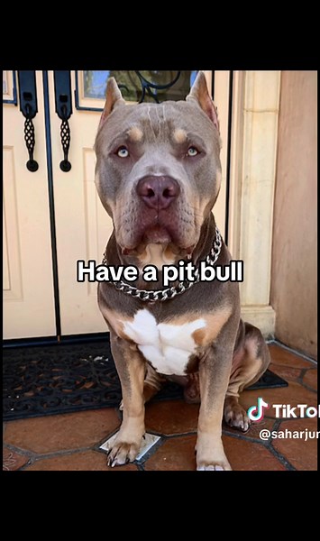 Sing if You Have It - Lower, Middle, and Upper Class Comparison