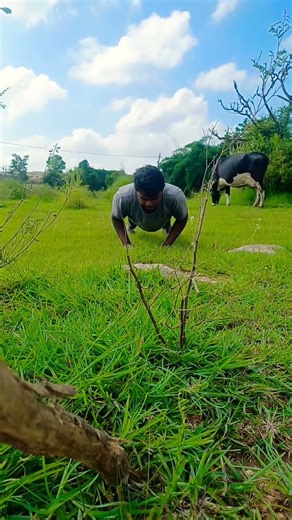 “Day 6/30 💪 100 Diamond Pushups Challenge | Results Coming Soon 🔥 #Shorts”