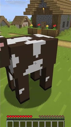 Minecraft ama ABONE Olduğunuzda Ölüyorum 💀