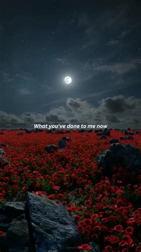 Yad - Vanna Rainelle❣️✨Lyrics Edit 🎧🎶 #song #lyrics #viral #love #music #trending #new #ytshorts #op