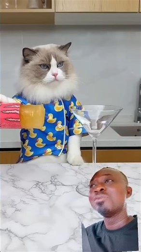 ThatLittlePuff | Turning a simple pool dive into a funny moment! #ShortMania