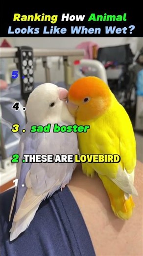 don't check the sound 😱😱😱