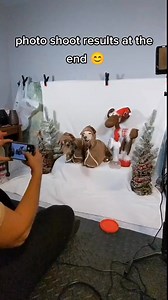 8.2K views · 1.2K reactions | What one of our photo sessions typically looks like!  | Lenny and Lexie | Facebook