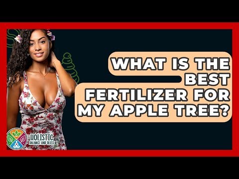 What Is The Best Fertilizer For My Apple Tree? - Holistic Balance And Bliss