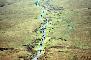 Pruebas de acceso al SAS