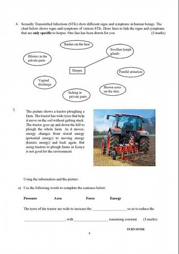 Grade 8 KNEC Integrated Science — SBA 2025: Questions & Marking scheme download pdf