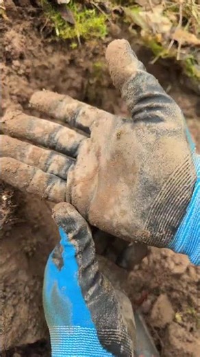 DEFİNE KAZISINDA DEĞERLİ PARALAR BULDUM! Treasure Hunt