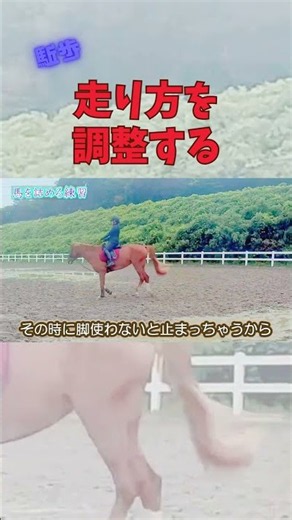 "Horseback Riding": Intentionally Adjusting How to Ride #horse #equestrian #horsebackriding