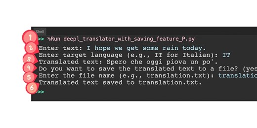 DeepL Video and Project