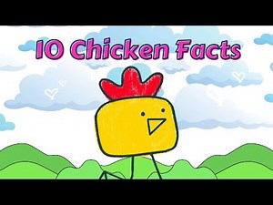 10 Chicken Facts! Learning about animals is FUN!