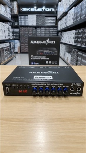 Skeleton Parametric Equalizer