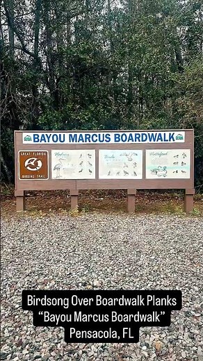 Bayou Marcus Boardwalk – Scenic Wetland Walk in Pensacola FL