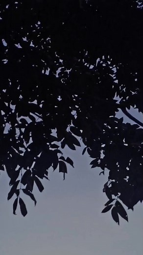 Illenium - Fractures ft. Nevve: A Story of Emotion