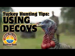 Spring Turkey Hunting Tips: Decoy Setup