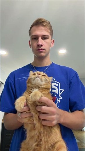 🐈🪕