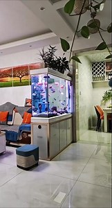 🐠 My Little Fish Tank Paradise 🌿✨ | Peaceful Fishkeeping #Aquarium #FishKeeping #FishTank #Aquarium