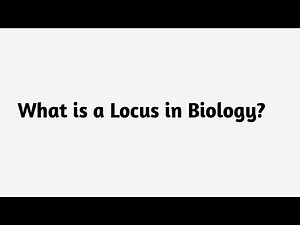What is a Locus in Biology ?