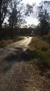 Cheap Burnout Cars on Reels