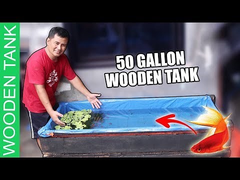12 DIY steps - BUILDING WOODEN TANK FOR LIVE BEARER FISHES ( STEP BY STEP TUTORIAL)
