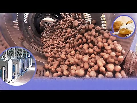 🔥Automated potato starch processing plant - starch making process - China potato starch factory
