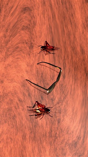 Videos for Cat - Cat Games Bugs 3D Games for Cats #catandmousegame