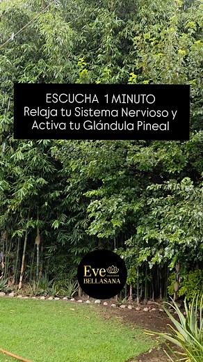 4.7K reactions · 459 shares | ✨ 1111 Hz — Frecuencia utilizada en meditación para centrar la mente, favorecer la calma interior y conectar con tu intuición. Perfecta para crear un momento de paz y enfoque. #1111Hz #Meditación #RelajaciónProfunda #SonidoDeSanación #Mindfulness #BELLASANA #evebellasana #amalonatural #datointeresante #saludybienestar #evejimenez #frecuencia #sonidos | BELLA SANA | Facebook