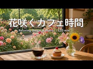 途中広告なし【癒しBGM】花咲くカフェ時間☕️🌿| バラ園を眺めるカフェで過ごす、やすらぎの時間| Relaxing Guitar & Piano – 120min