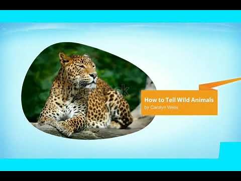 How To Tell Wild Animals By Carolyn Wells - First Flight - X