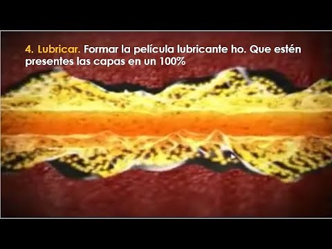 Película lubricante condición de lubricación y función del lub