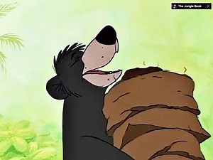 Baloo Scratching His Back