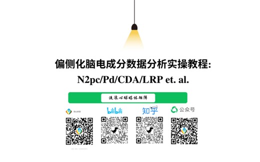 偏侧化脑电成分数据分析实操教程:N2pc/Pd/CDA/LRP等