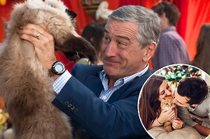 Sorry, dog lovers — cat fans are smarter than you: experts