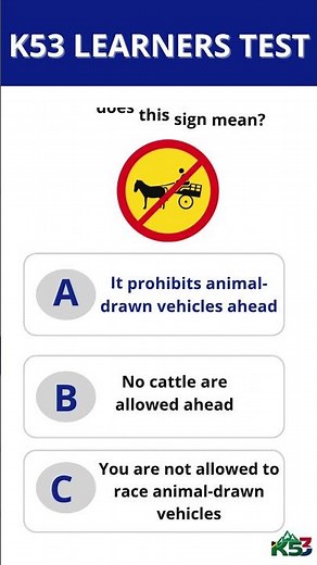 K53 Learners Questions and Answers #shorts