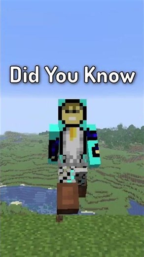 The Secret Behind The Locator Bar In #minecraft
