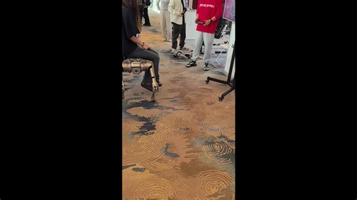 Robot dogs can carry humans on their backs in China