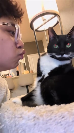 Fun Cat Videos and Clips on Instagram: "Dodging him like the Matrix lol (jhaydenaczon on TikTok)"