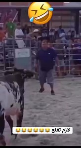 Laughed so hard today guyz. Check this video. Don't forget to like, share and comment | Peter Rosenberg