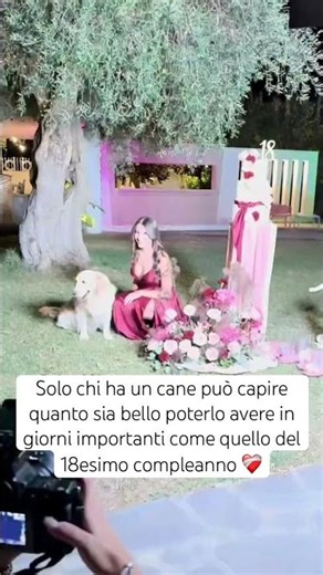 Solo chi ha un cane può capire quanto sia bello poterlo avere in giorni importanti come questo❤️‍🩹