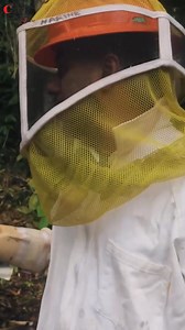 Chef Jason Faced his Fear and Fought with African Killer Bees 🐝 🐝 While Harvesting Honey From the Hives . This One was Scary ! | Chef Jason Peru