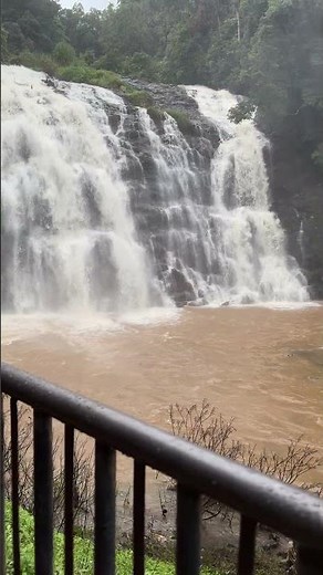 Abbey Falls Coorg 🌊 | One of the Most Beautiful Waterfalls in Karnataka #falls