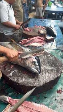 Tuna Cutting Skills Indo | Master Sliced #TunaCutting #FishCutting #KnifeSkills