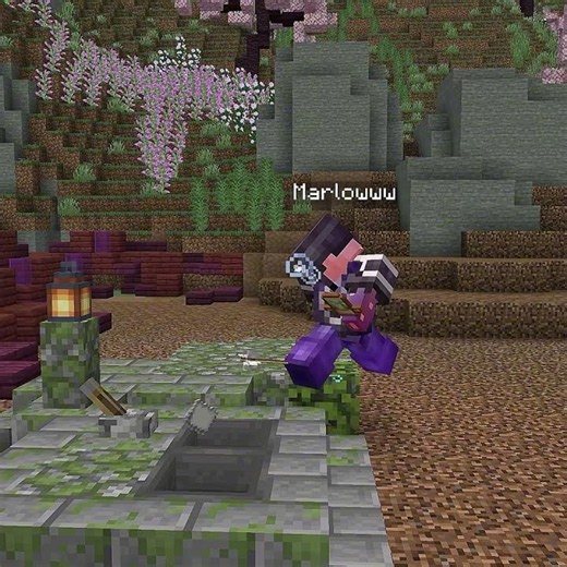 Marlow Failed To Defend The Tomb ☠️🥶#shorts #minecraft