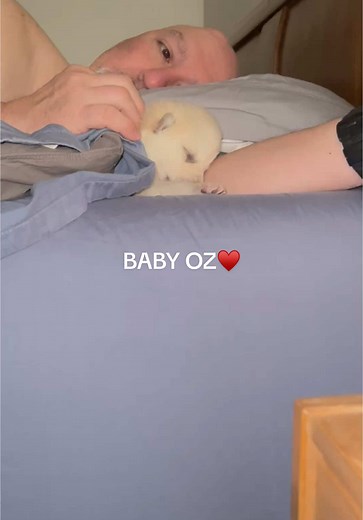 KeeperOfTheWolves on TikTok