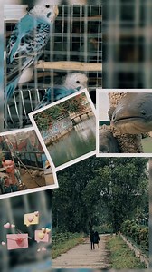 The Vineyard is all set for Valentines Dining with acoustic band and OPEN MIC Session. Send us message for your booking to secure your seat. Limited Seats Only. Additional Information ✅Entrance Fee (P50.00) For everybody's safety and security to insure that all visitors inside the resort premises intends only to enjoy. ✅6pm-11pm Vineyard Only dinners can get inside the vineyard and enjoy the acoustic band. ✅Location Google us as LYR Agro Inland Resort. | LYR Agro Inland Resort